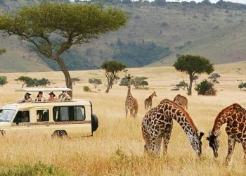 World tourism still a fraction of pre-pandemic levels, full recovery expected by 2024