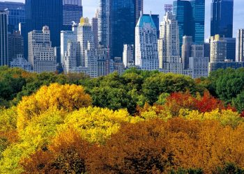 Billionaire sells penthouse for R3bn in one of New York’s priciest property deals yet