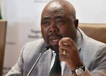South Africa announces ‘quota system’ for foreign workers – what you should know