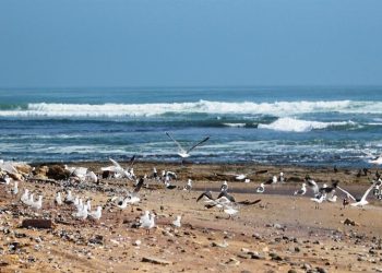 NMP takes steps to progress with phosphate mining project