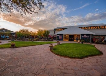 DBN provides N$53m in salaries funding to Gondwana