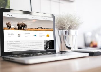 Asylum Design & Development