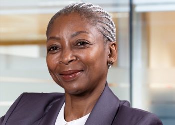 Standard Bank names former SBN director as its new chair