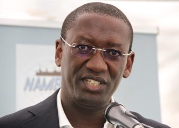 Shiimi appoints new NIDA board