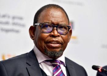 SA Fin minister says central bank mandate, as is, can boost jobs