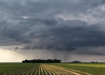 The basics: Preparing for the rainy season