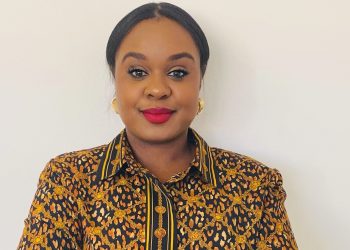 Developing an SME governance system