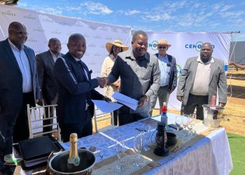 ANIREP secures additional capacity deal with CENORED