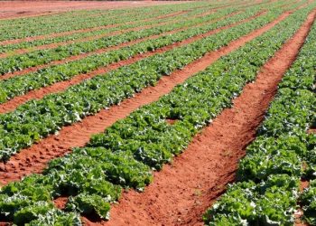 Agriculture projected to grow in 2023