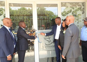Kavango farmers get N$154m loans from Agribank