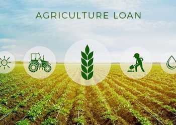 Planning for an agricultural loan? Here’s what you need to know