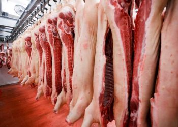 Namibia’s pork imports surge by 66% in January amid demand
