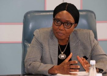 Premier urges local authorities to prioritise partnerships for service delivery