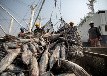New labour laws for fishing industry
