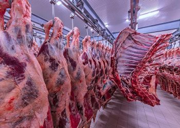 Namibia records decline in February beef exports