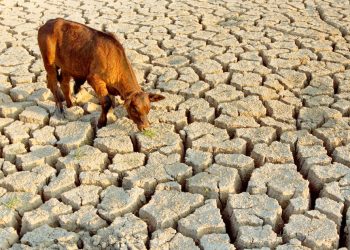 Union issues drought warning