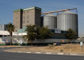 Namib Mills, Namib Poultry Industry face NaCC probe