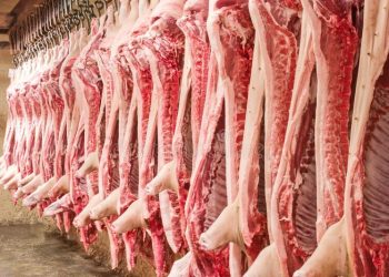 Namibia imports pork from EU to meet local demand