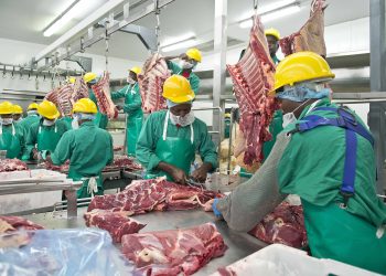 Meatco lacks capacity to support recovery – Schlettwein