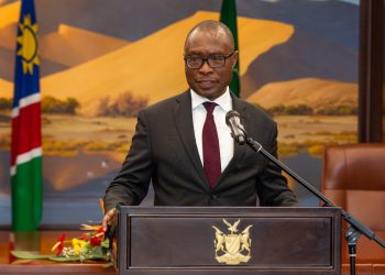 Shiimi intervenes in NamPower electricity suspension