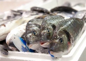 Namibia exports fish products worth N$4bn in 3 months