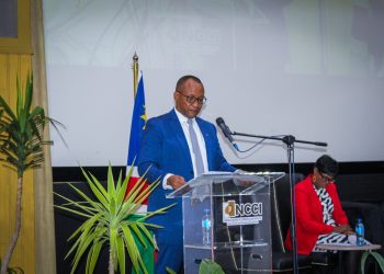 NCCI calls for reforms to support local entrepreneurs and address industry challenges
