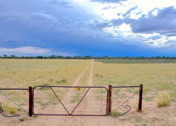 Agribank funds acquisition of 10 million hectares of land