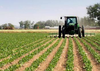 The importance of a farming calendar