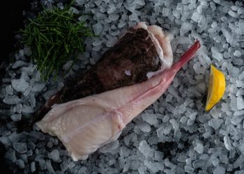 Namibia initiates auction for 600 MT of Monk Freezer fish