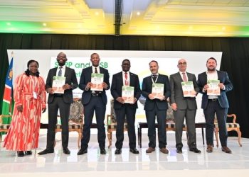 Namibia’s modified single buyer success dependent on infrastructure