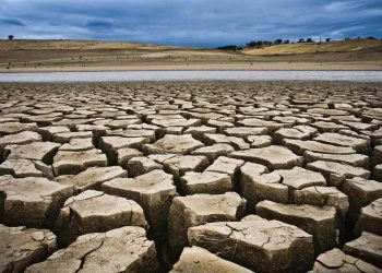 Drought relief to cost govt N$892 million