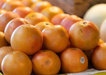 Namibia exports 424t of inaugural soft citrus and grapefruit in Q1 ’23
