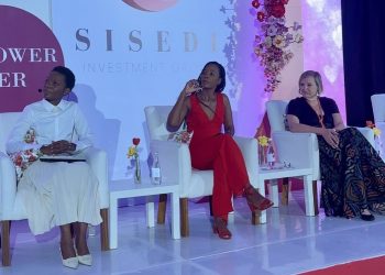 Sisedi launches Namibian financial sector diversity and inclusion initiative