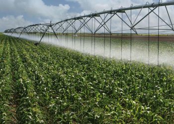 Namibia drafting Irrigation Master Plan