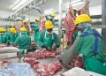 Govt moves to clear Meatcoâ€™s N$212 million DBN debt