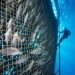 Namibia’s first salmon farming project secures N$41m in equity financing