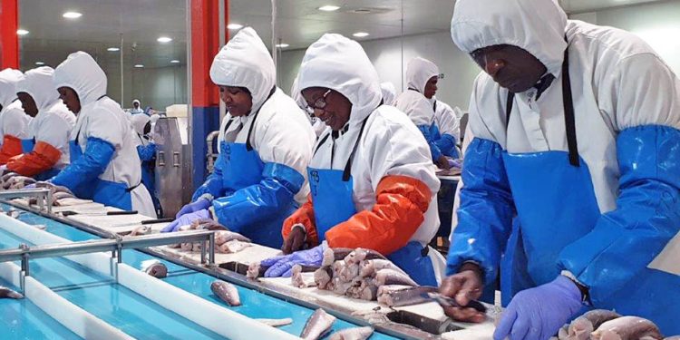 Namibia eyes billion-dollar fish waste innovation opportunity