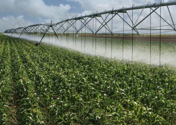 Namibia urged to ditch rain-dependent farming