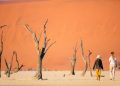 Leisure travel leads as Namibia’s hotel occupancy reaches 55% in April