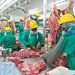 Govt spends N$730 million on Meatco bailouts since 2020