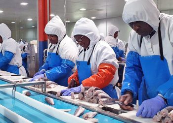 Fish exports hit N$1.3 billion in May