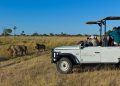 Wilderness Safaris secures clearance for new Namibia luxury lodge