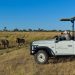 Wilderness Safaris secures clearance for new Namibia luxury lodge
