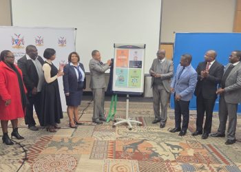 Public sector auditing gets overhaul with new govt manual