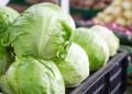 Know your winter vegetables and how to grow them