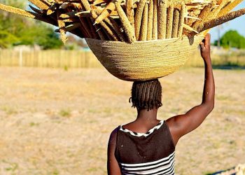The role of traditional authorities in agriculture