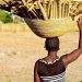 The role of traditional authorities in agriculture