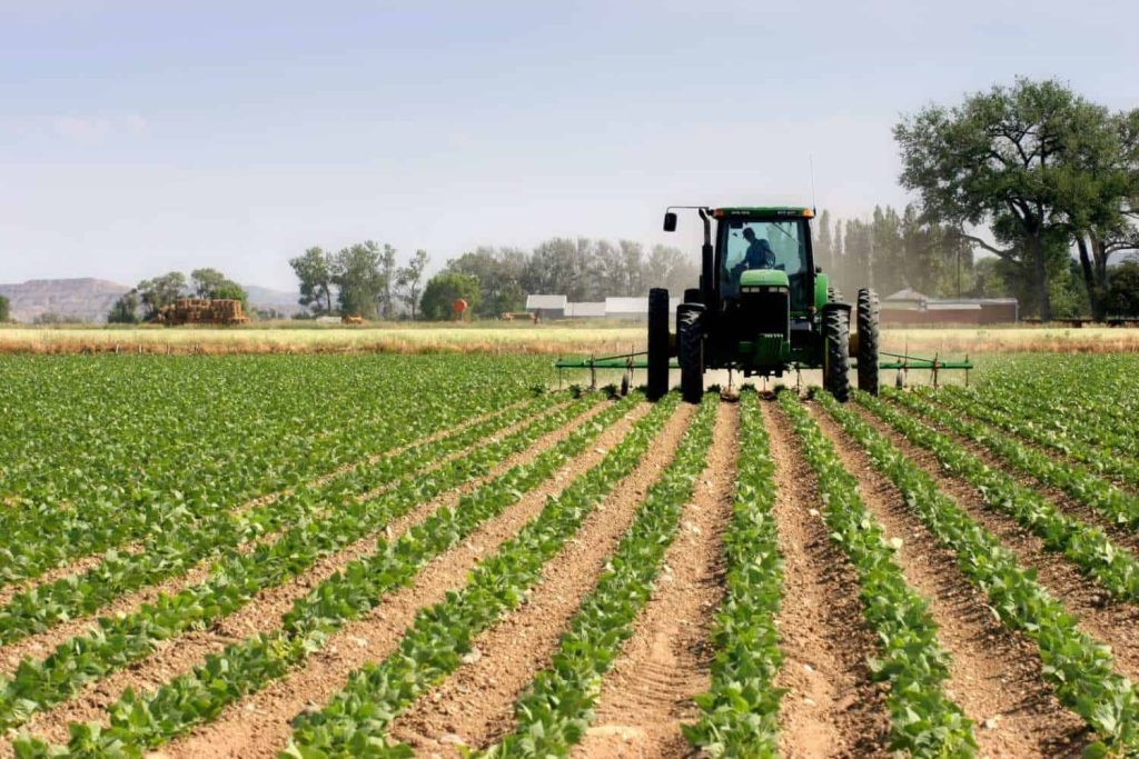 FARMING - The Brief | Namibia's Leading Business & Financial News