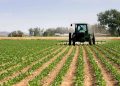 Namibia targets 130,000ha farms, N$2.8bn in crop exports