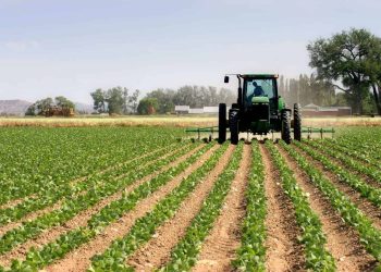 Namibia targets 130,000ha farms, N$2.8bn in crop exports